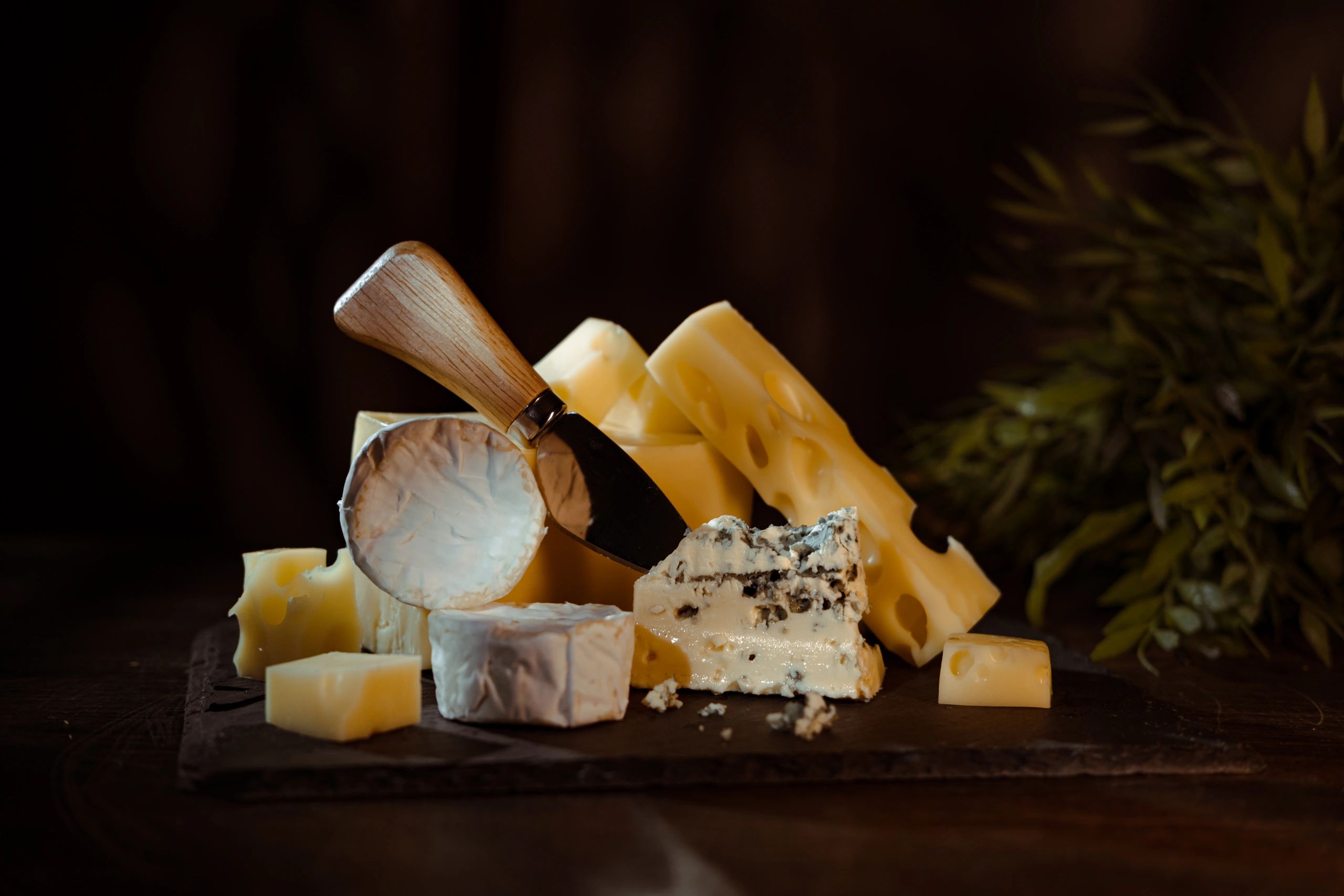 Cheese variety styled on a dark background